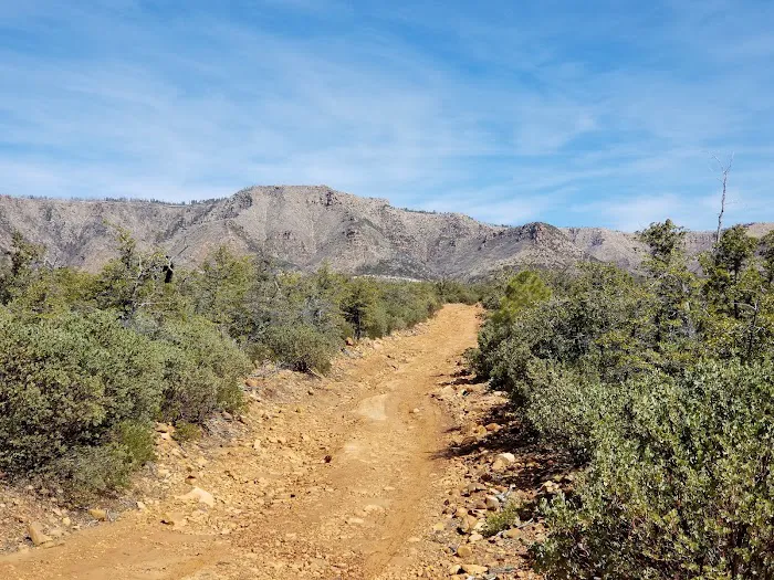 Colcord Ridge Campground 9