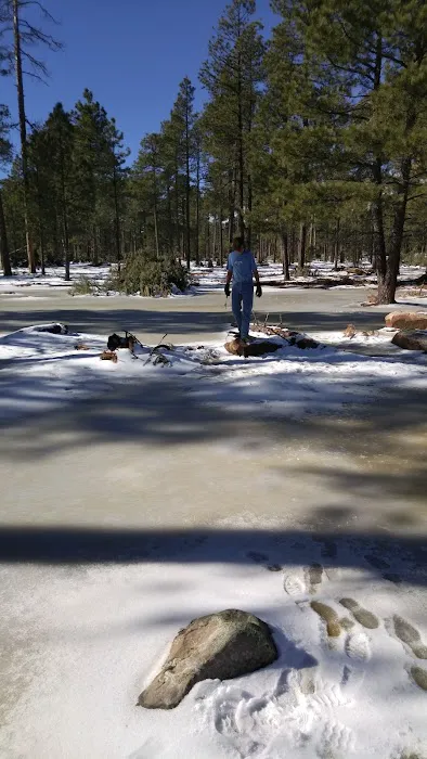 Rim Campground 5