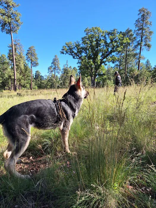 Rim Campground 7
