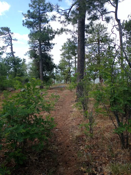 Rim Campground 8