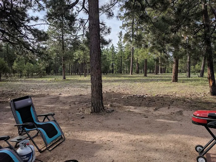 Black Canyon Rim Campground 2