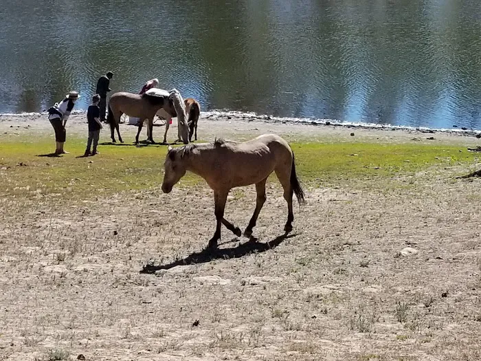 Black Canyon Rim Campground 5