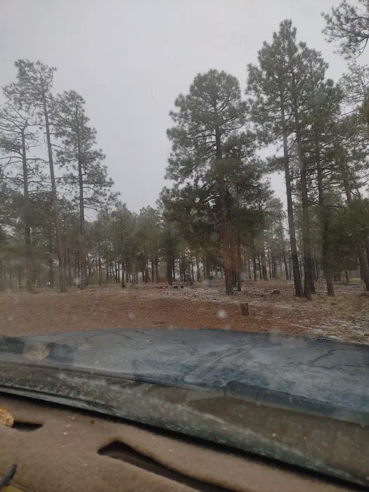 Deer Springs Interpretive Site (minor) (recgovnpsdata) 1