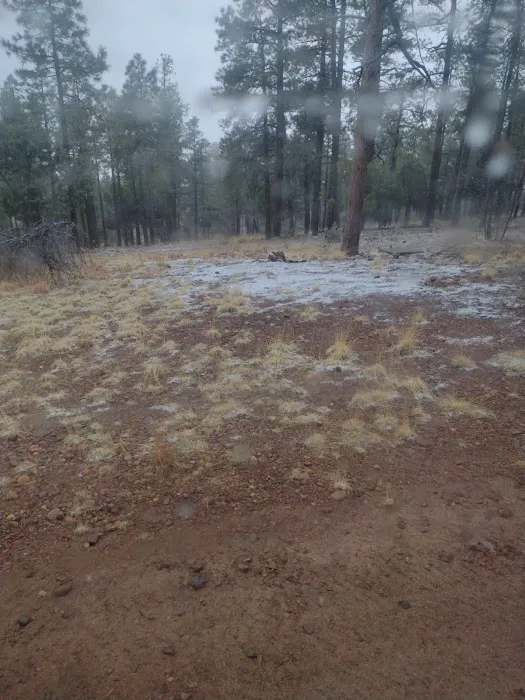 Deer Springs Interpretive Site (minor) (recgovnpsdata) 0
