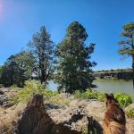 Fool Hollow Lake Recreation Area Campground