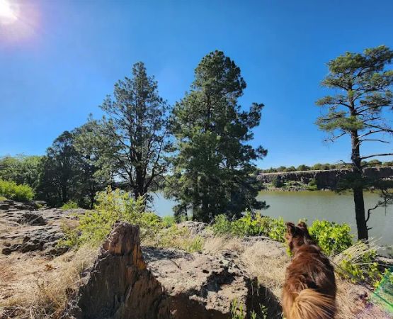 Fool Hollow Lake Recreation Area Campground