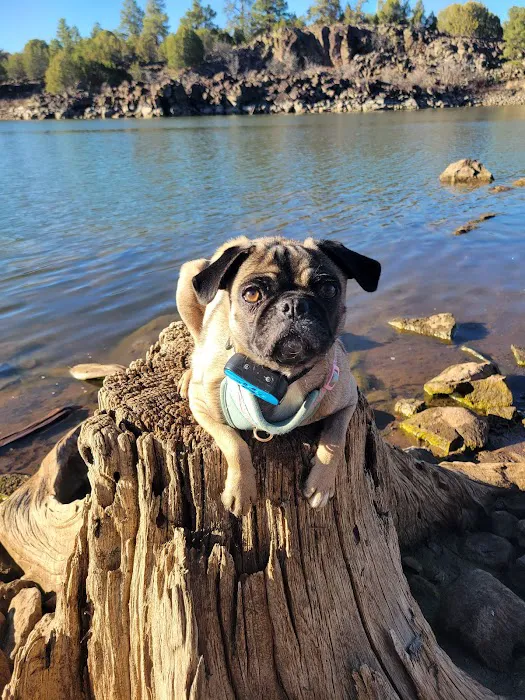 Fool Hollow Lake Recreation Area Campground 9