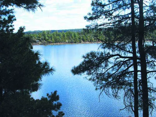 Show Low Lake Campground 2
