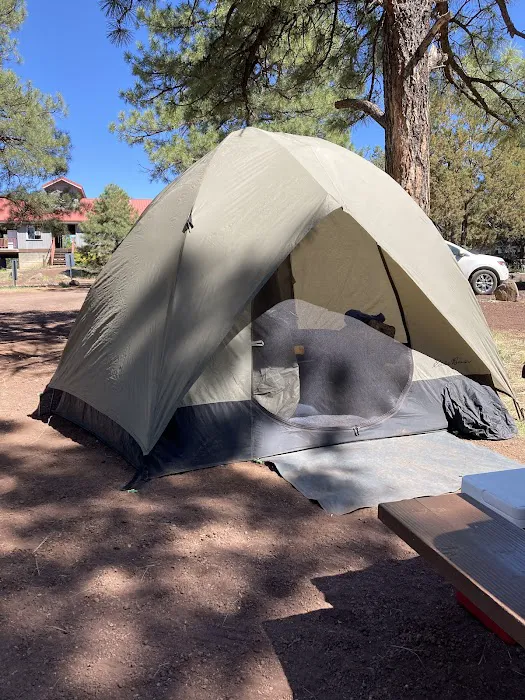 Show Low Lake Campground 4