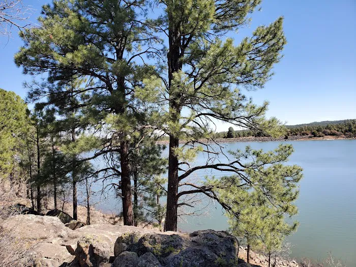 Show Low Lake Campground 7