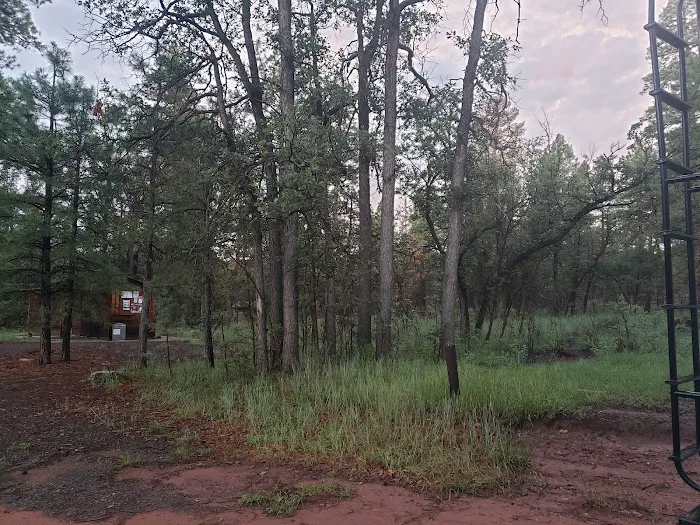 Moqui Group Campground 4