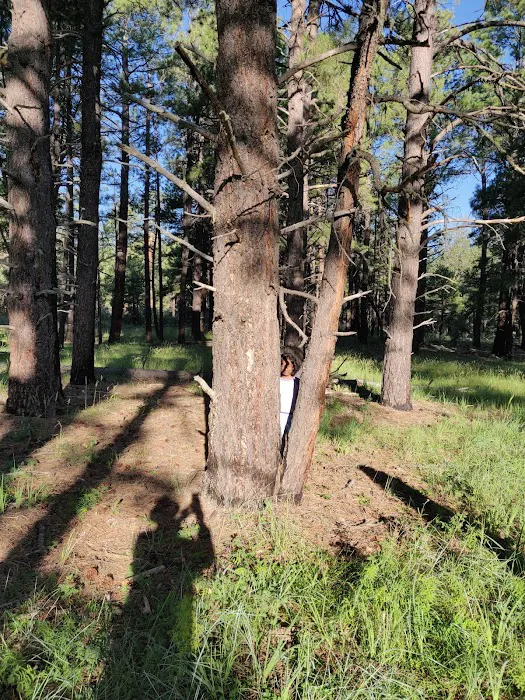 Moqui Group Campground 8