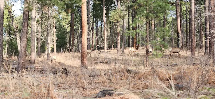 Long Valley Recreation Camp 1