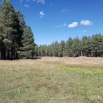 Long Valley Work Center