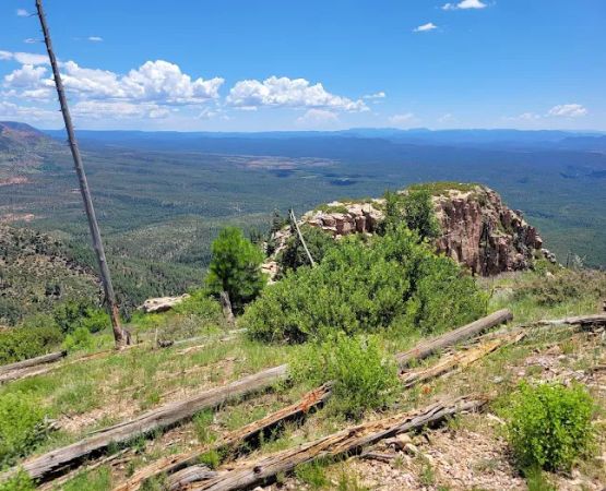 Kehl Springs Campground