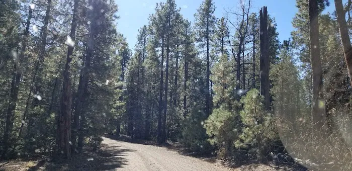 Kehl Springs Campground 8
