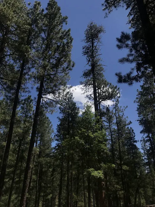 Kehl Springs Campground 7