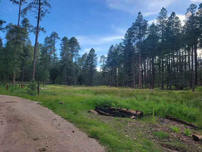 Kehl Springs Campground 9