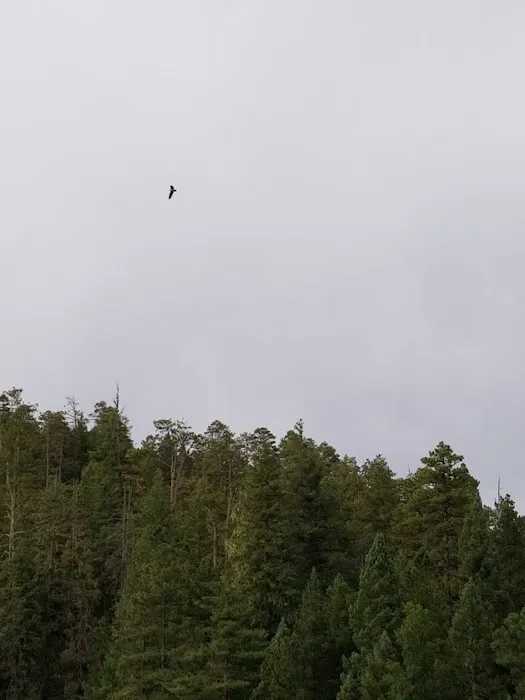 Knoll Lake Campground 4