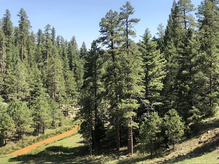 Knoll Lake Campground 6