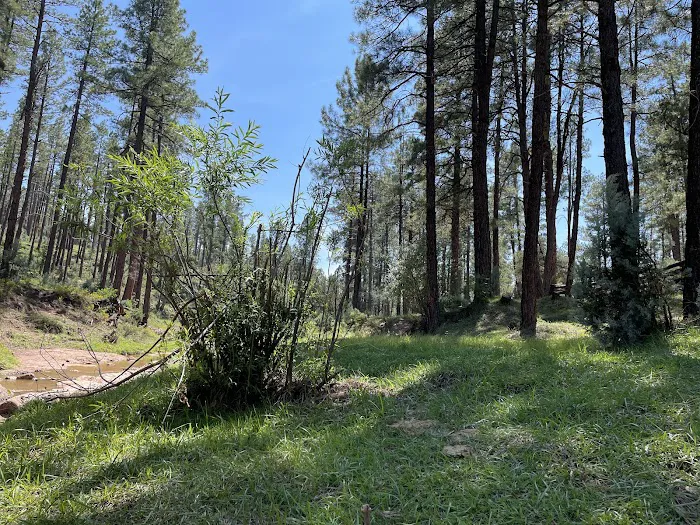 Verde Glen Campground 6