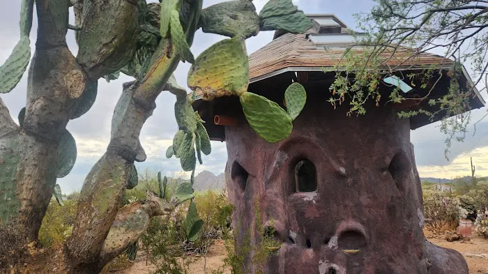 Camp Saguaro 2
