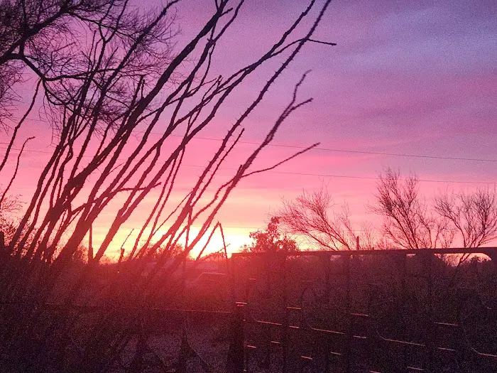 Camp Saguaro 0