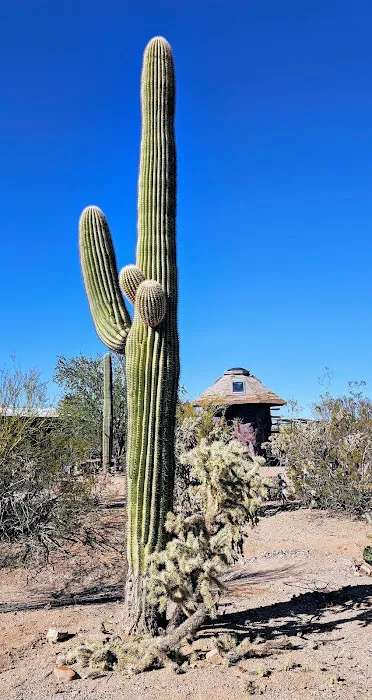 Camp Saguaro 8