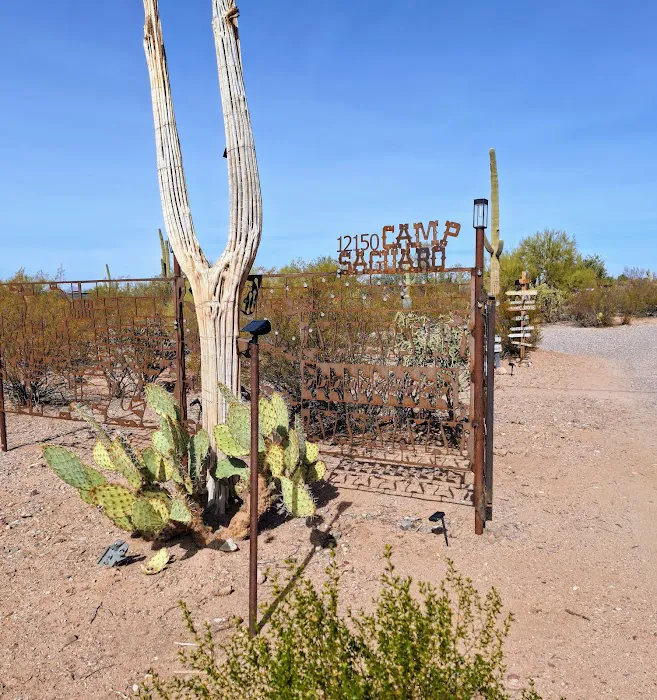 Camp Saguaro 9