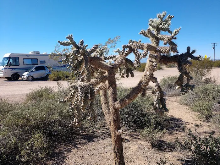 BLM Camp 5