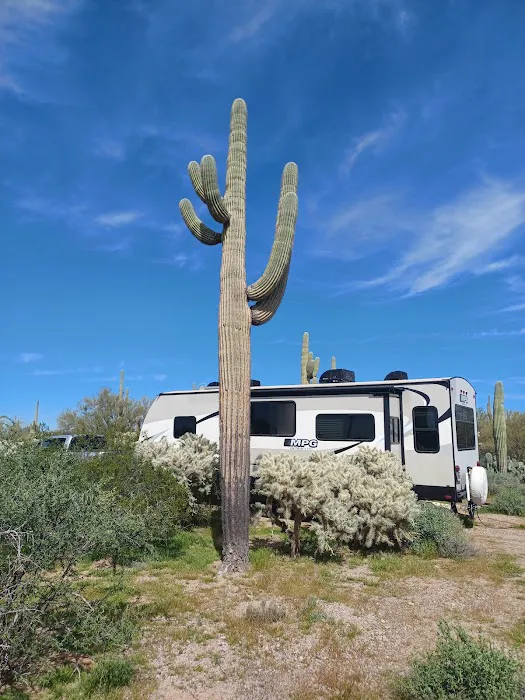 Cactus Forest Campground 0