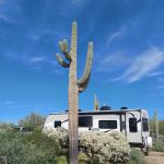 Cactus Forest Campground