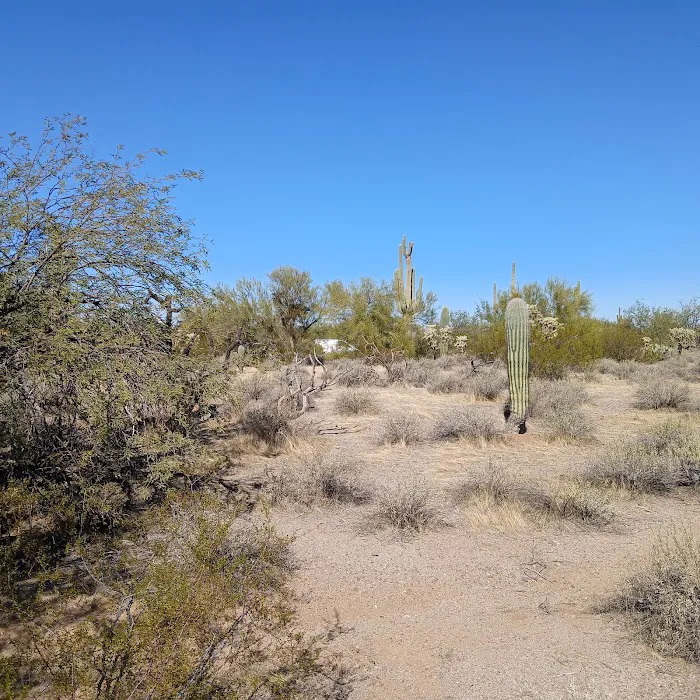 Cactus Forest Campground 2