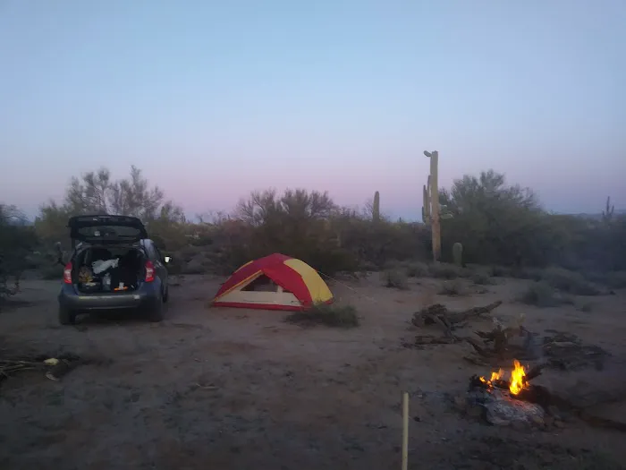 Cactus Forest Campground 4