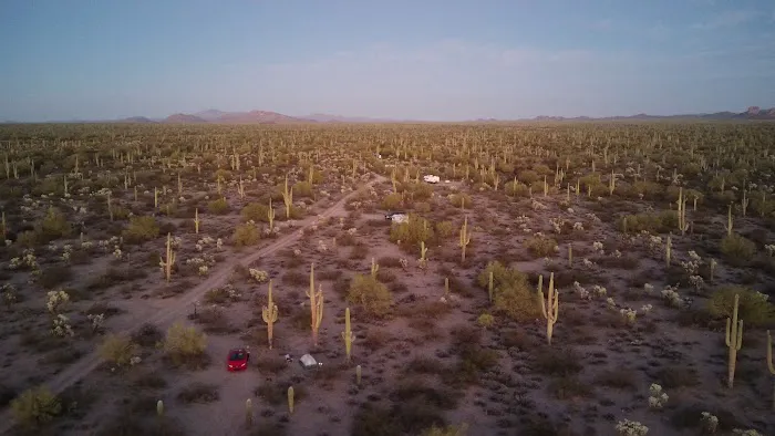 Cactus Forest Campground 7