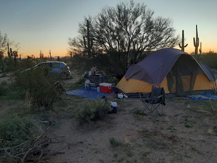 Cactus Forest Campground 9