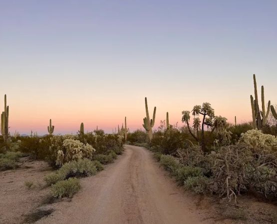 BLM Camping