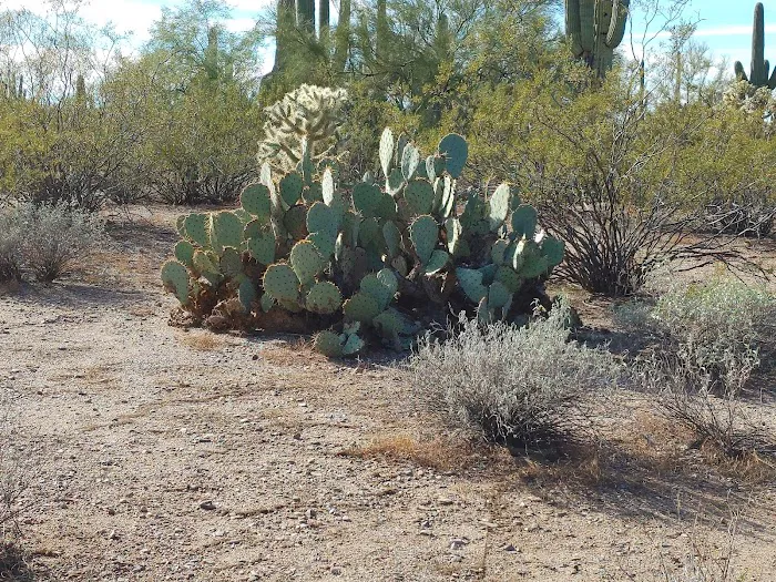 BLM Camping 2
