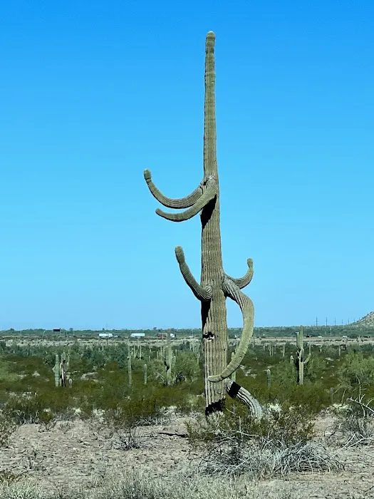 Roadrunner Group Area 1
