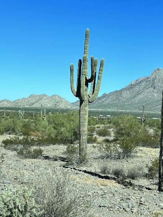 Roadrunner Group Area 2