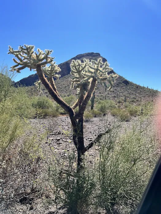 Roadrunner Group Area 4