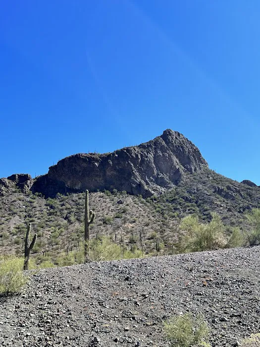 Roadrunner Group Area 5