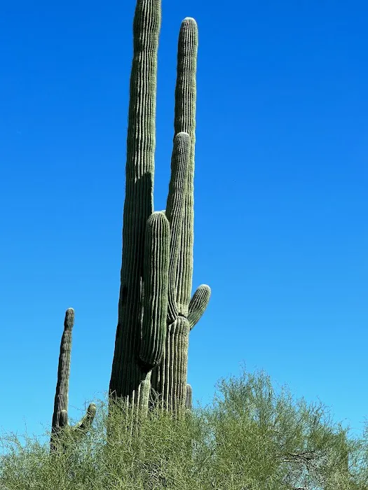 Roadrunner Group Area 9