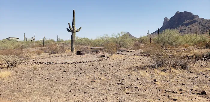 Roadrunner Group Area 7