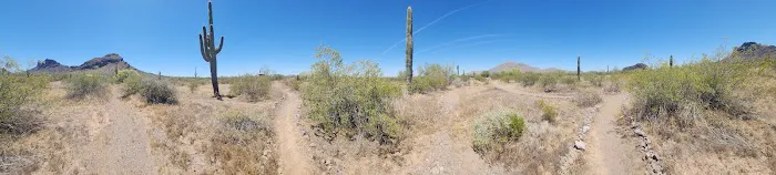Quail Group Area 9