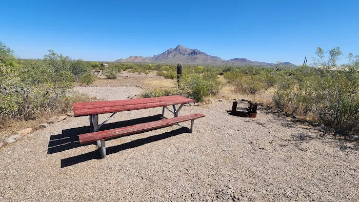 Jackrabbit Group Area 9