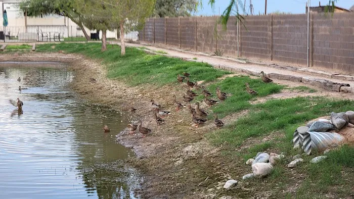 Casa Grande Mobile Home Park 1