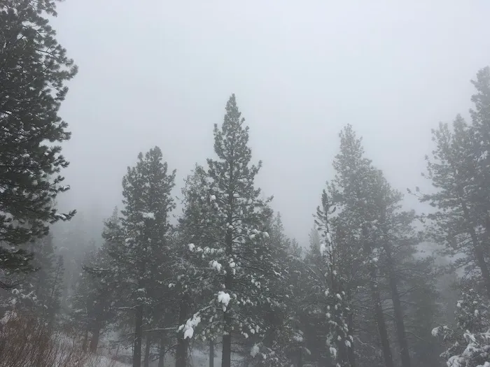 Sky Mountain Camp 9