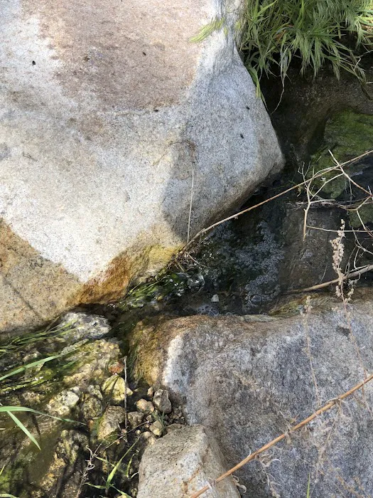 Pipes Campground 0