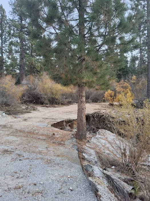 Coon Creek Snowmobile Route 1N02 (recgovnpsdata) 3